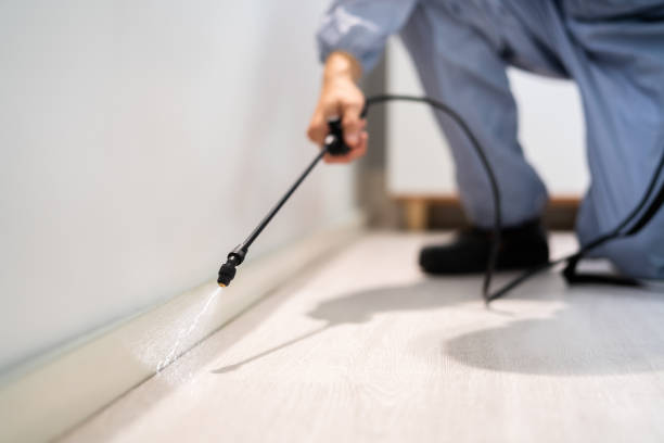 Licensed Termite Control service in Wilton Center, CT - Nex Pest Control