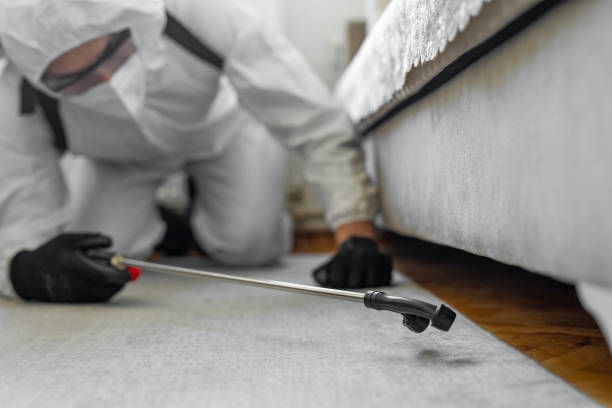 Professional Termite Control technician working in Wilton Center, CT