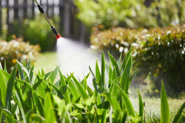 24/7 Emergency Termite Control experts in Wilton Center, CT