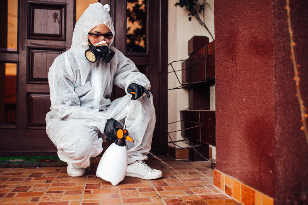 Reliable Termite Control contractor in Wilton Center, CT by Nex Pest Control