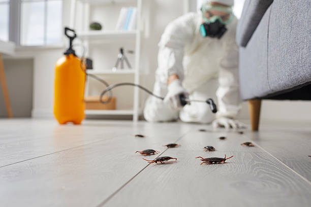 Trusted Emergency Pest Control service in Wilton Center, CT - Nex Pest Control