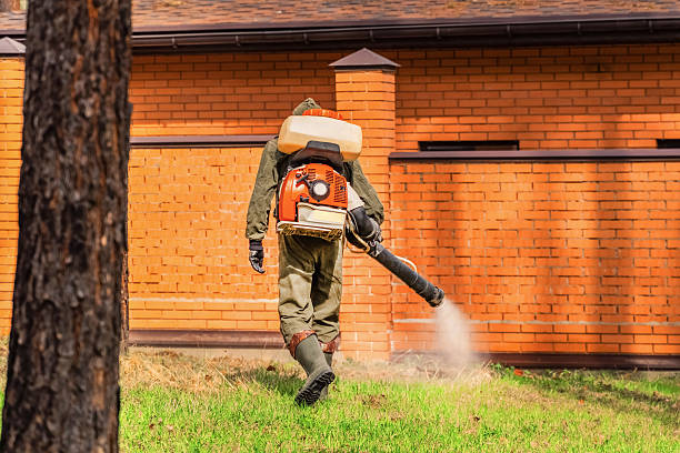 Trusted Rodent Control service in Wilton Center, CT - Nex Pest Control